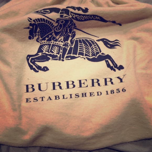 Burberry crossbody bag. Perfect condition. - Picture 1 of 8